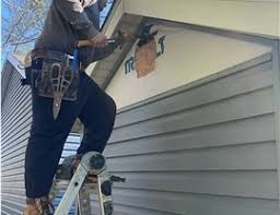 Best Historical Building Siding Restoration  in Randallstown, MD